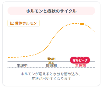 ホルモンと症状のサイクル